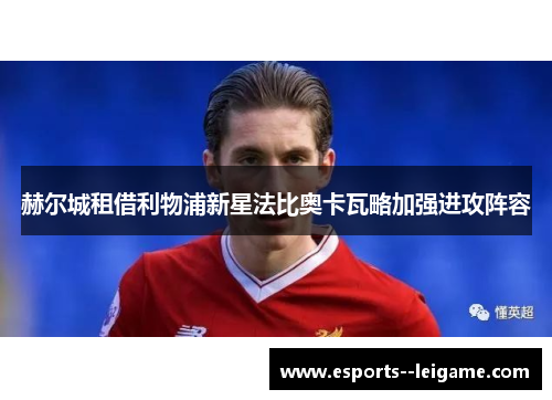 赫尔城租借利物浦新星法比奥卡瓦略加强进攻阵容 赫尔城租借利物浦新星法比奥卡瓦略加强进攻阵容